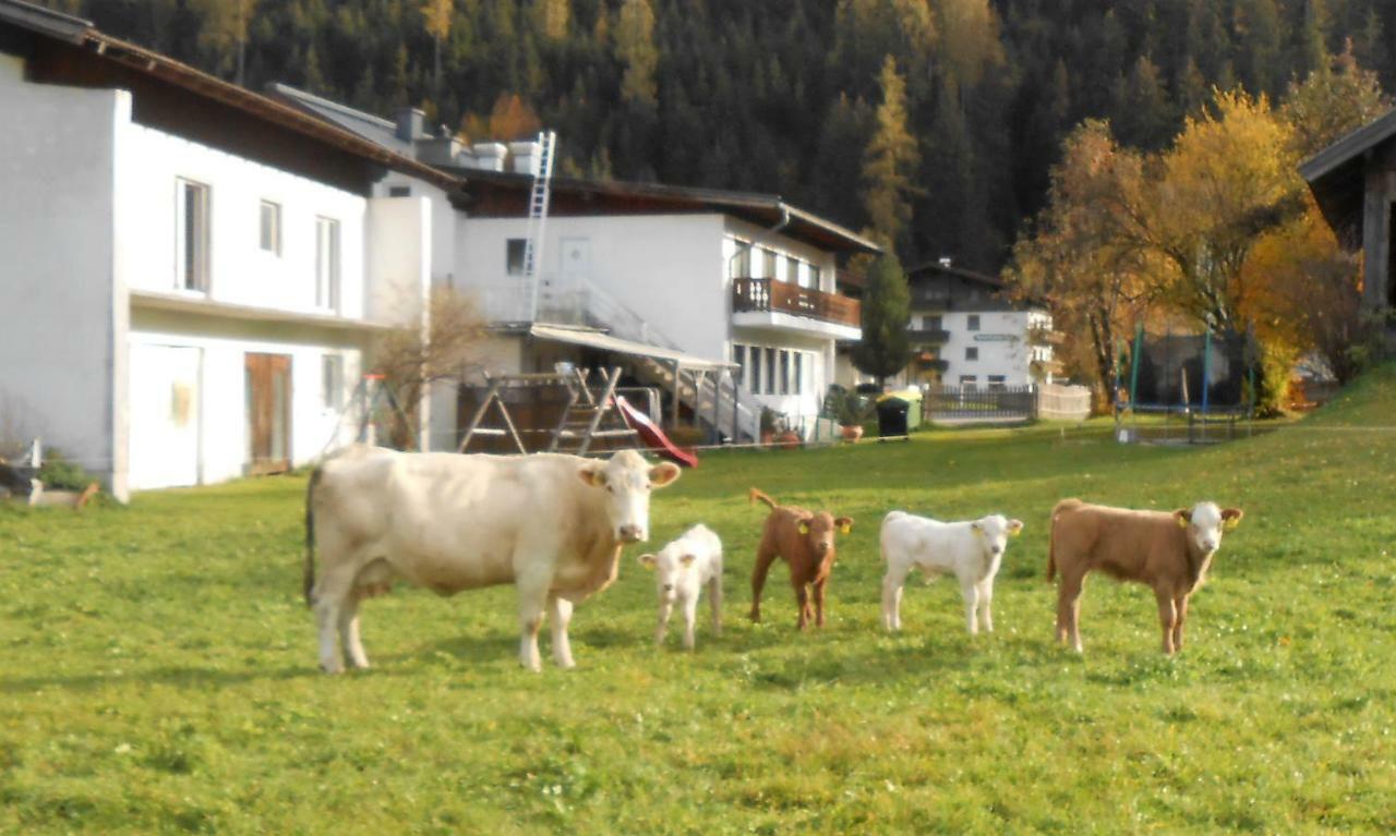 Ferienhaus Dankl Hollersbach im Pinzgau Exterior photo